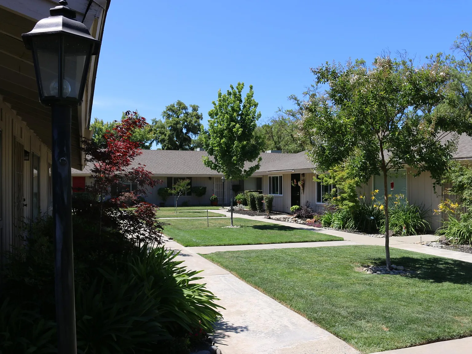 3 bed, 1500 sqft, $2,200 — Photo 2