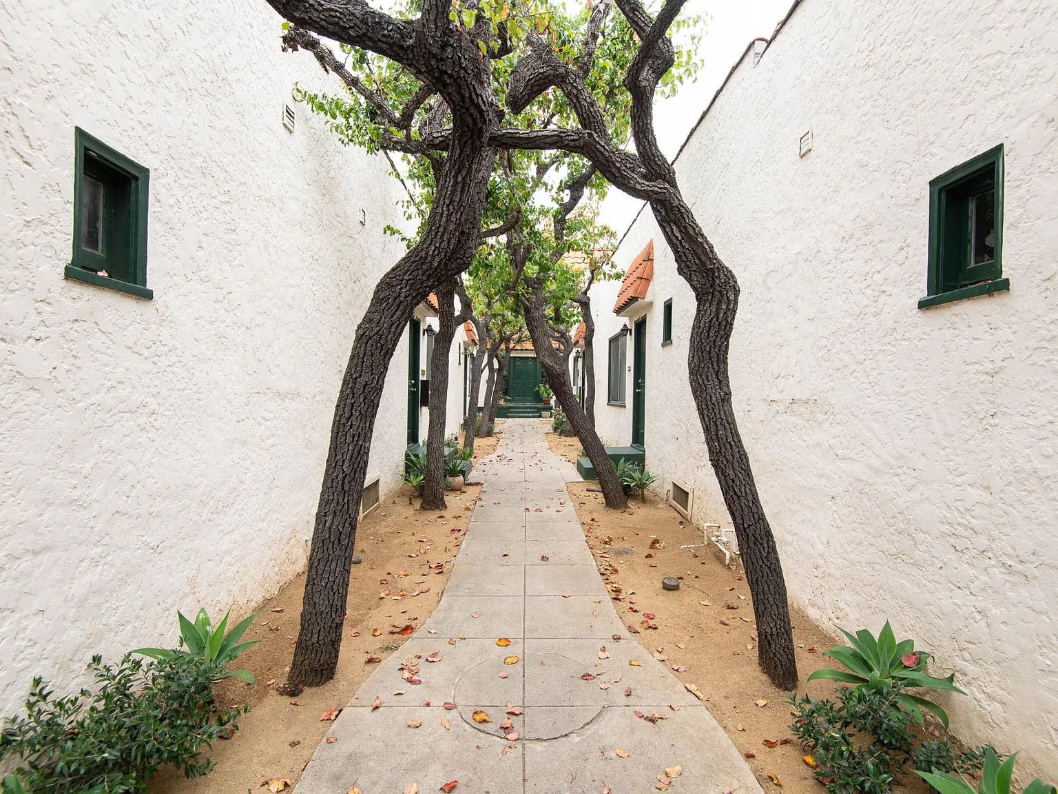 1 bed, 650 sqft, $2,495 — Photo 2