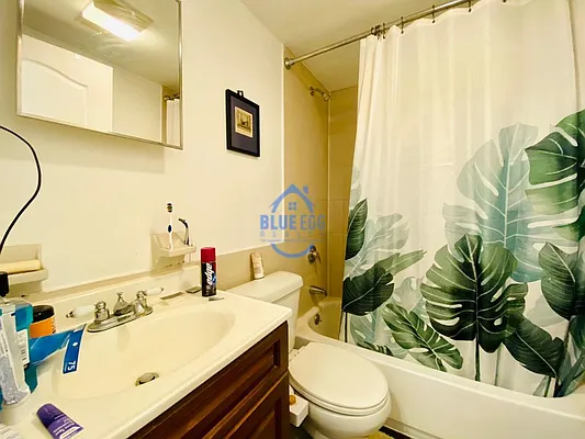 Rented by Blue Egg Realty Corp | media 7