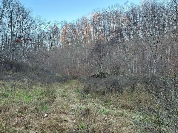 Dale Hollow Ln, Renick, WV 24966