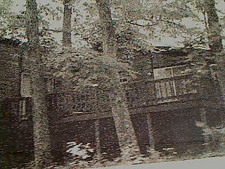 Back of house - large deck