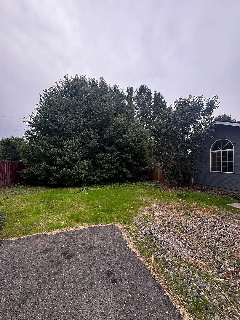 Newly Remodeled 3-Bedroom Home — Photo 3