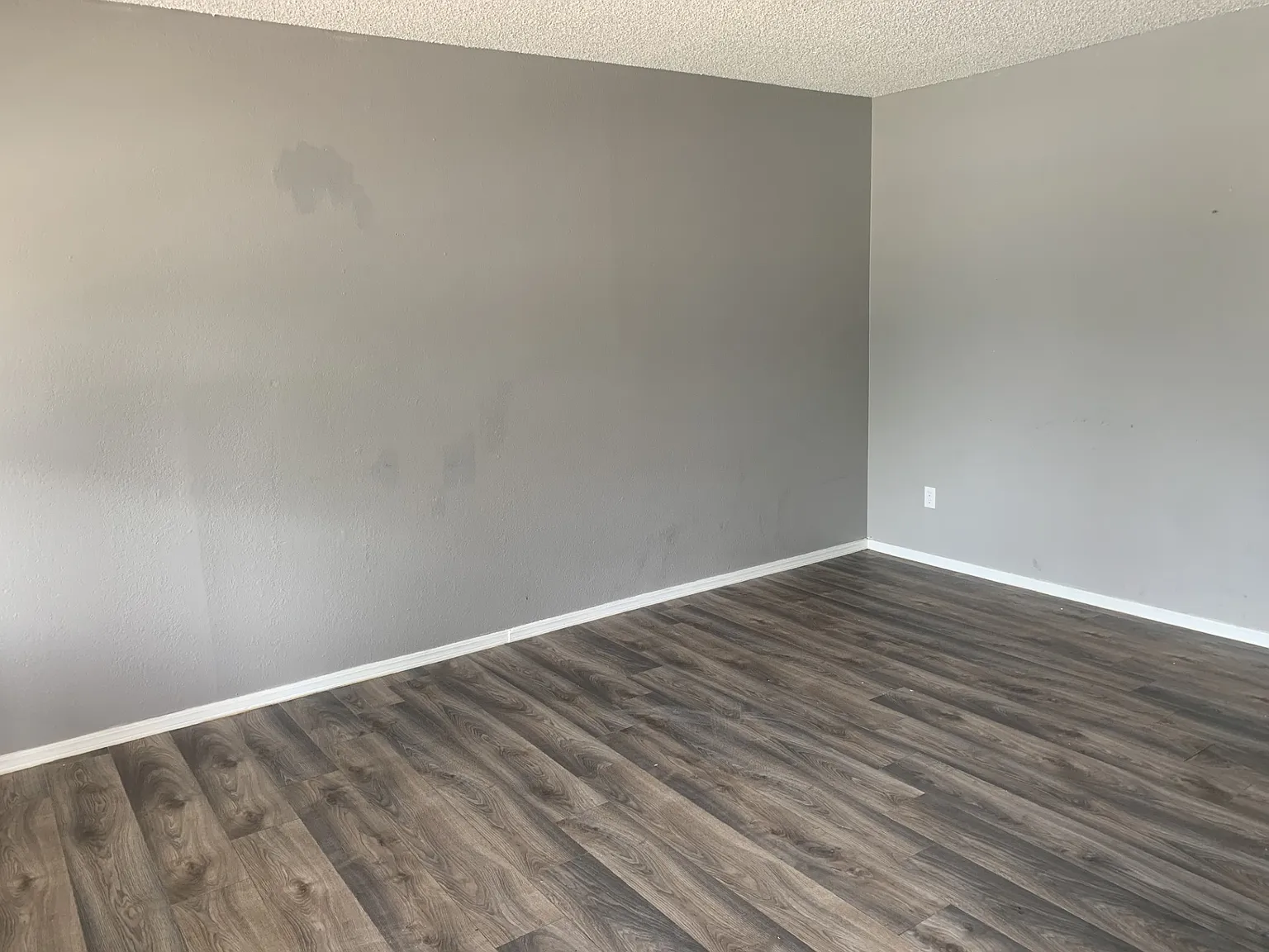 1 bed, 900 sqft, $800 — Photo 2