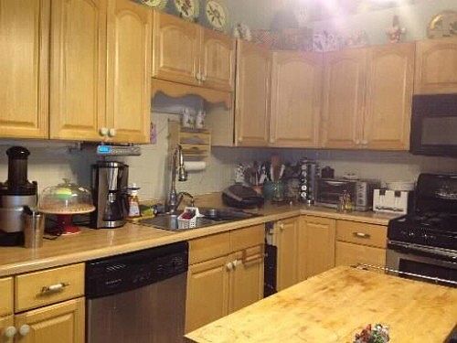 4th image of 1019 Lotus Dr