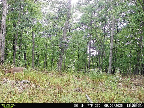 3rd image of 0 County Road 4055