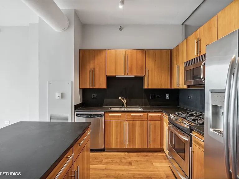 700 N Larrabee St #1711 — Photo 9