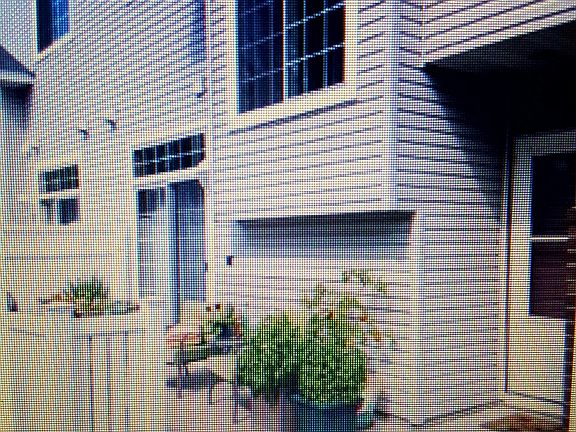 Awesome patio and yard