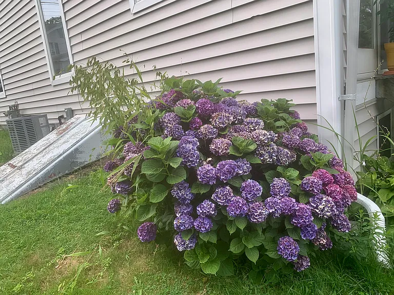 17 Bluff Ave — Photo 48