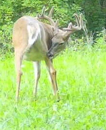 4th image of 890 South Independence Road