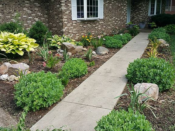 Sedum, iris, hosta, lillies