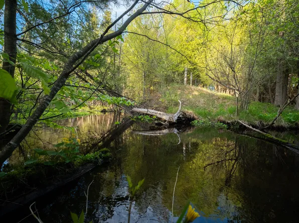 Chief Rd, Bear Lake, MI 49614