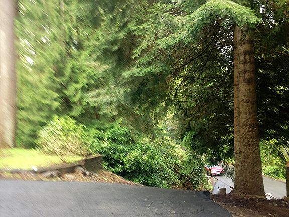 5th image of 111 Alderwood Ln