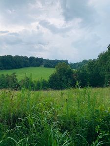 880 Cecil Branstetter Rd, Summer Shade, KY, 42166