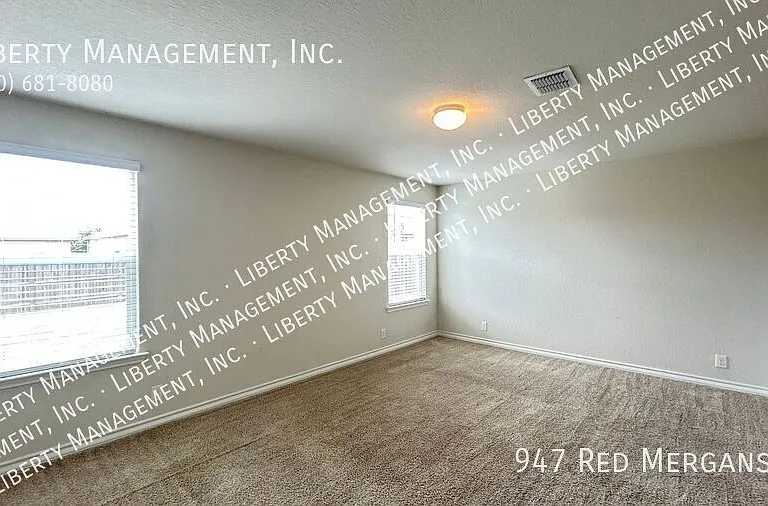 947 Red Merganser — Photo 24