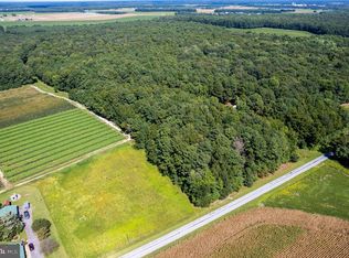 Unimproved Lot Big Pine Rd, Bridgeville, DE 19933