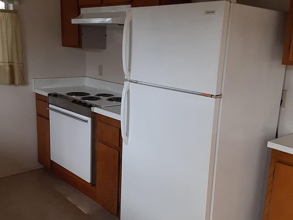 Stove and refrigerator
