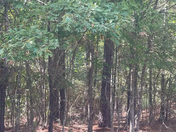 0 Ferry Lake Rd Tract B, Oil City, LA 71061