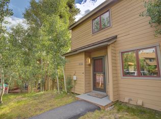 6738 Ryan Gulch Rd, Silverthorne, CO 80498