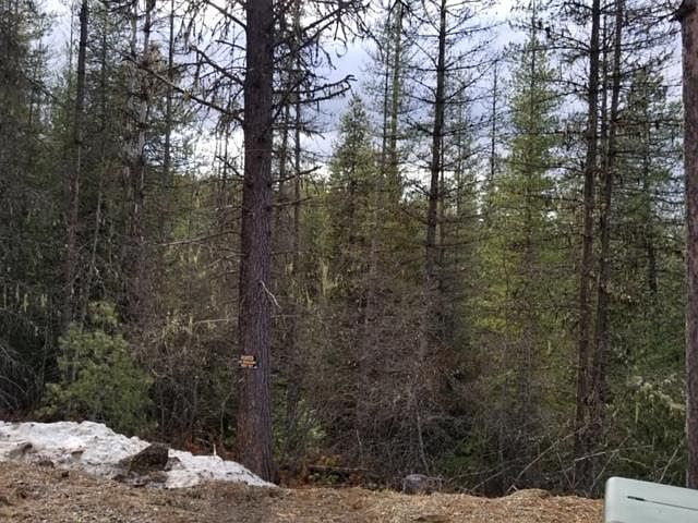 1st image of 128 Trail Blazer Ct