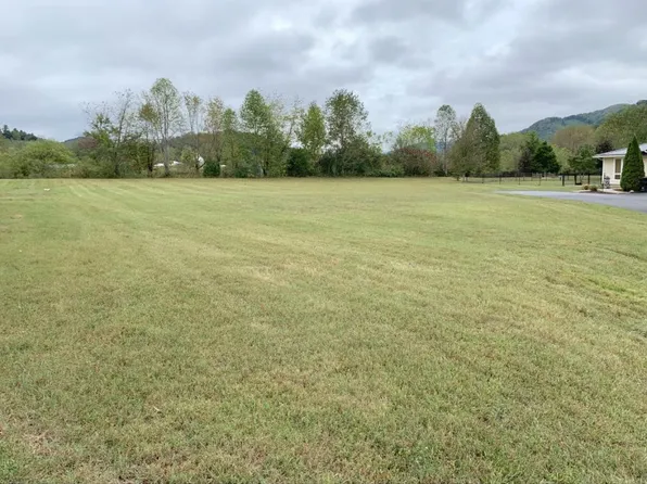 1027 Quail Run Ct, Erwin, TN 37650