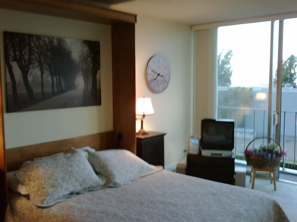 Studio Unit with Murphy Bed and Wall of Windows