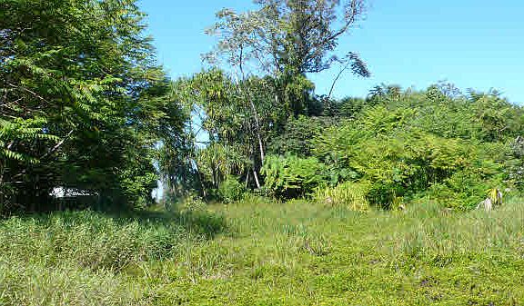 3rd image of Opakapaka St Lot 1936