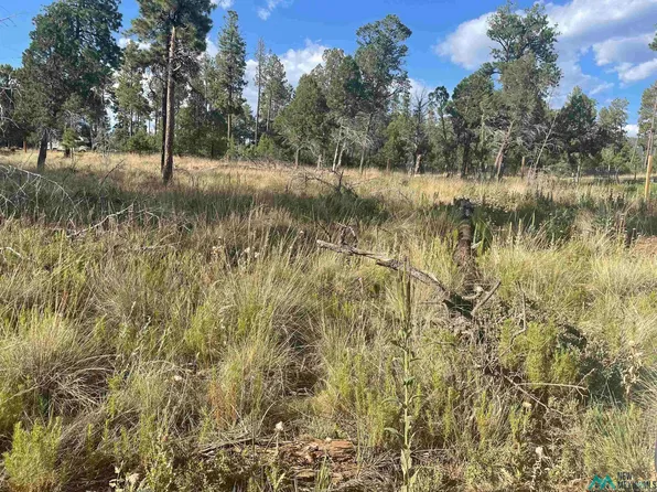 75 Dry Creek Dr, Timberon, NM 88350