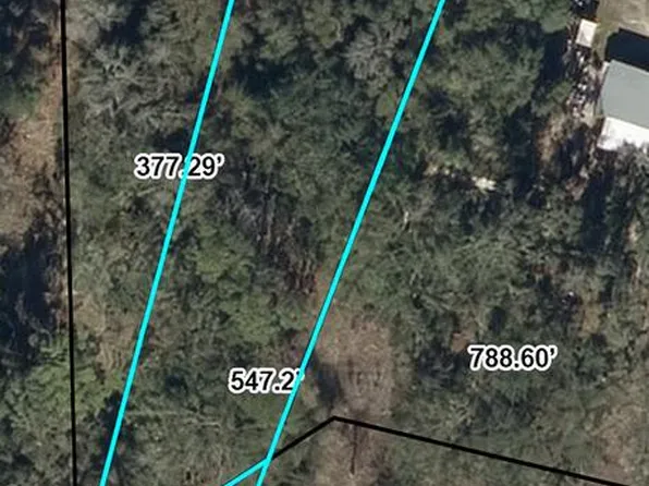 SE 23rd Ln, Trenton, FL 32693