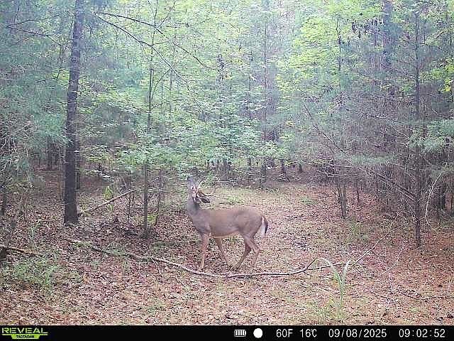2nd image of 0 Simpson Mill Rd