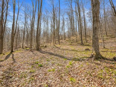 L9114 Lutheranville Rd, East Worcester, NY, 12064