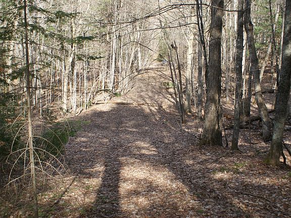 4th image of Tall Timbers Rd