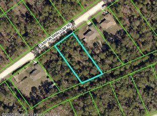 14150 Canyon Swallow Rd, Weeki Wachee, FL 34614