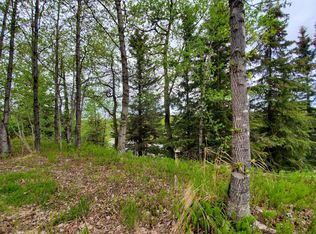 73528 Breakaway Rd, Anchor Pt, AK 99556