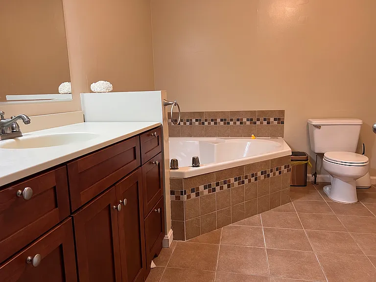 Master bathroom with Jacuzzi tub