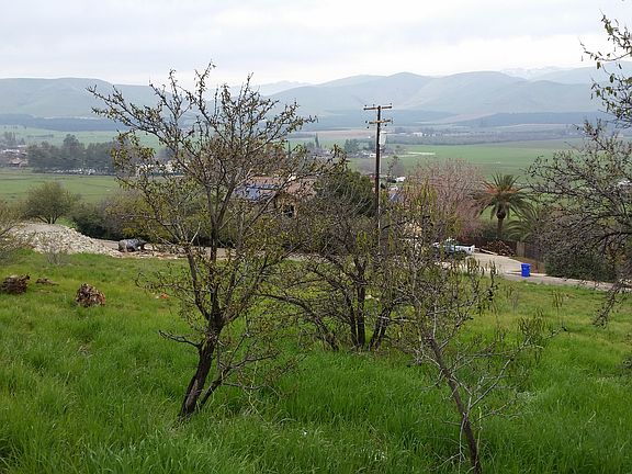 LEFT SIDE VIEW HIGHLAND RD