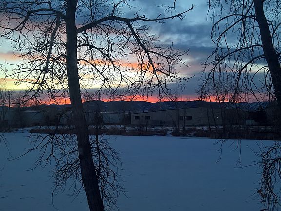 view from patio
