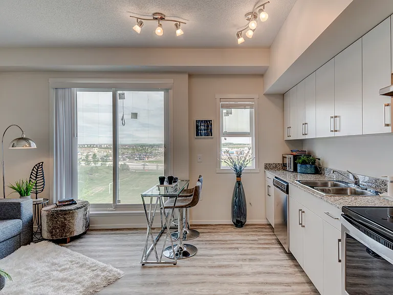 73 Skyview Point Cres NE — Photo 98