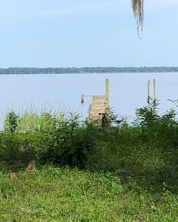 Overlooking St Johns River