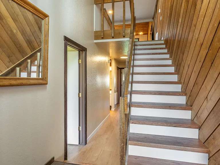 410 White Bark — Photo 37
