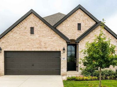 317 Adlai Ave, Georgetown, TX, 78633
