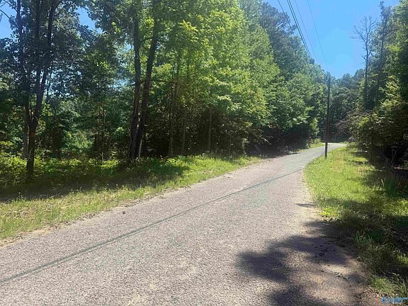 2nd image of Bishop Mountain Rd