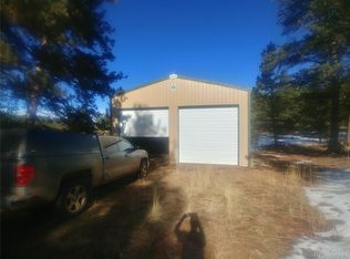 81 Rhyolite Ln, Florissant, CO 80816