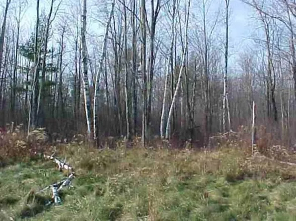 Lot 1 WOOD DUCK LANE, Merrill, WI 54452