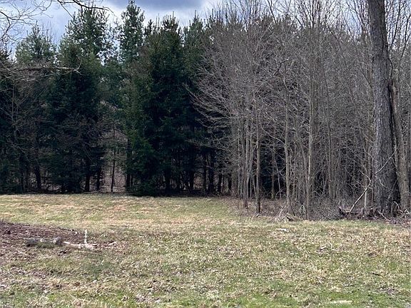2nd image of White Rd