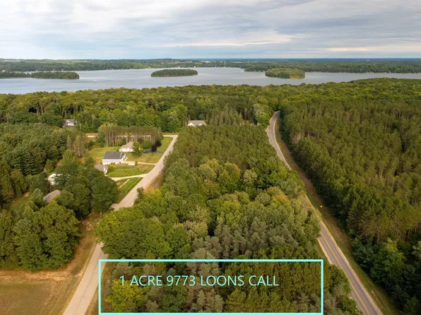 9773 Loons Call Dr, Traverse City, MI 49685