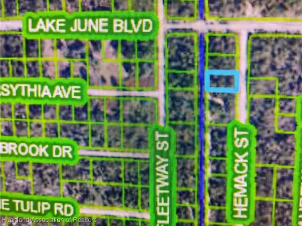 959 Hemack St, Lake Placid, FL 33852