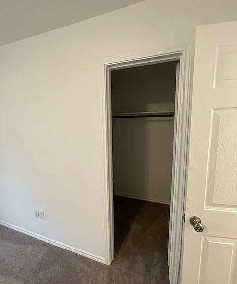 1005 Clear Dusk Ln — Photo 6