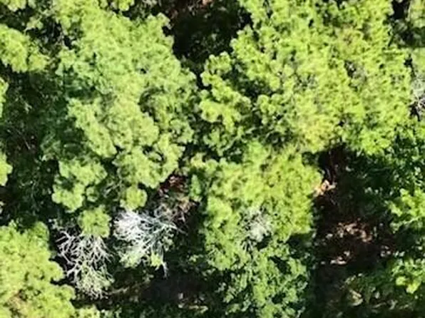 441 Chadwick Acres Road LOT 13, Sneads Ferry, NC 28460