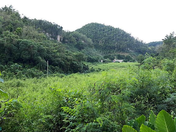 4th image of C D F Barrio Hato Viejo Sector Canta Gallo