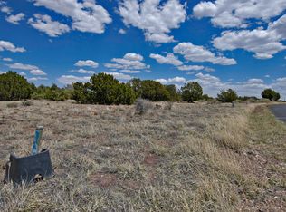 8386 Lake View Dr, Show Low, AZ 85901